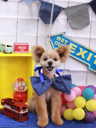 20230411クッキーくん